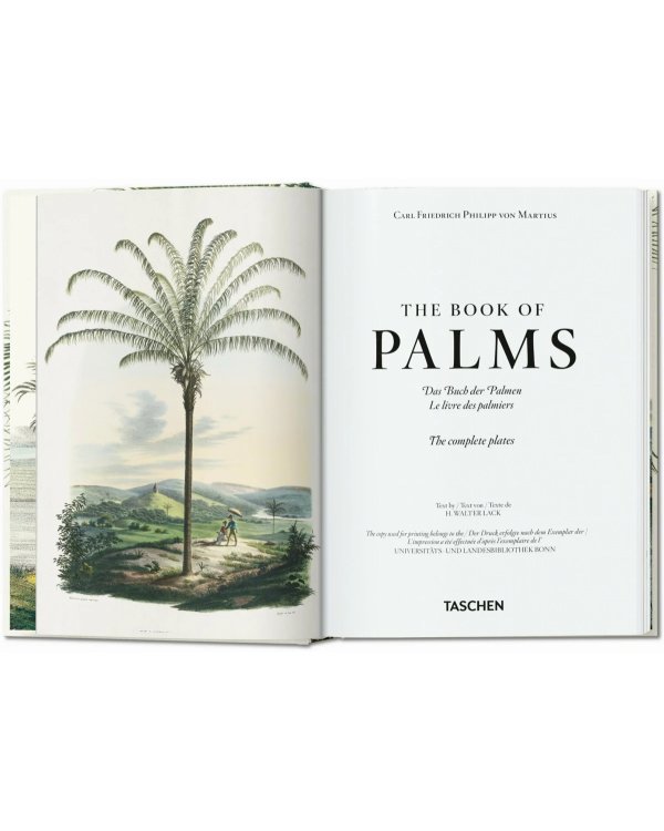 Martius. The Book of Palms. 40th Ed.