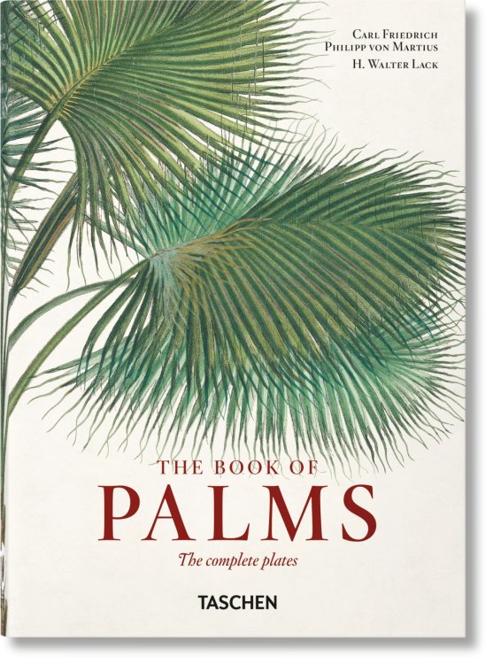 Martius. The Book of Palms. 40th Ed. Martius. The Book of Palms. 40th Ed.