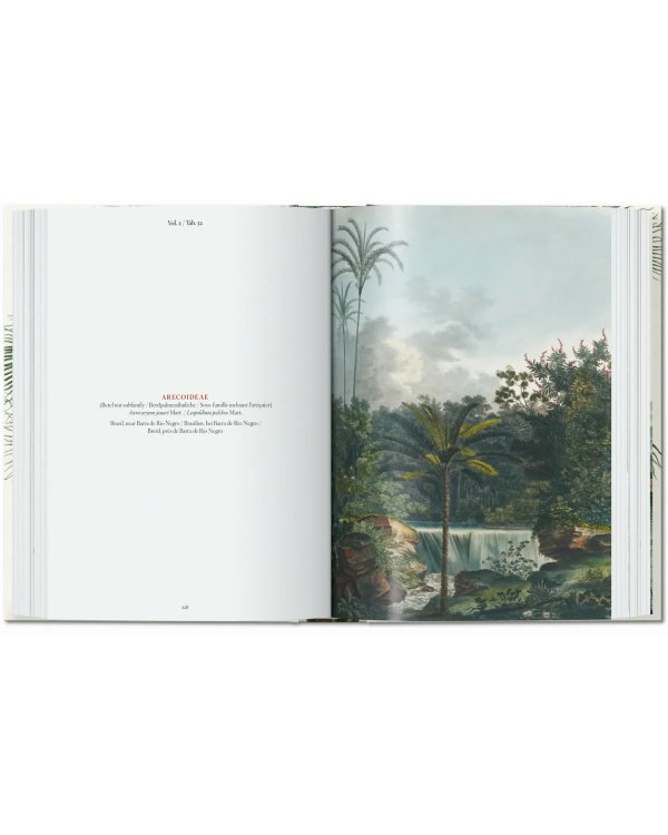 Martius. The Book of Palms. 40th Ed.