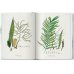 Martius. The Book of Palms. 40th Ed. Martius. The Book of Palms. 40th Ed.