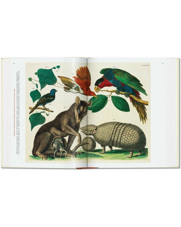 Seba. Cabinet of Natural Curiosities. 40th Ed.