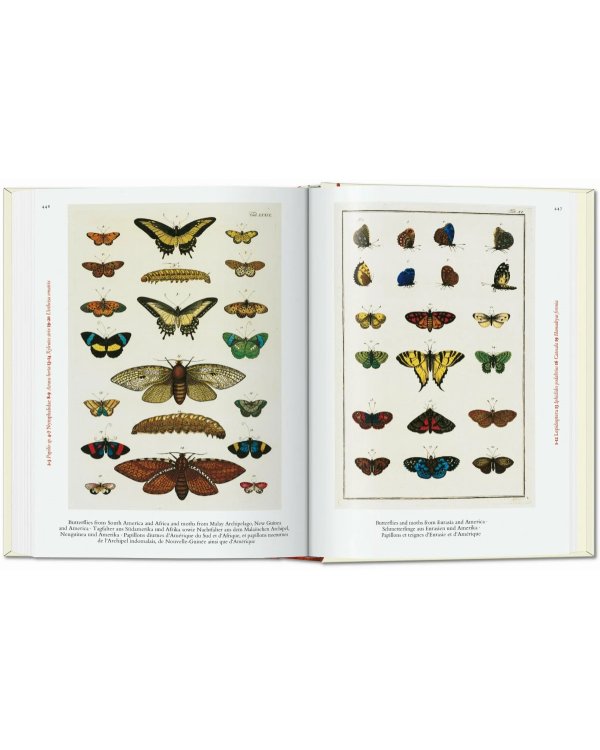 Seba. Cabinet of Natural Curiosities. 40th Ed.