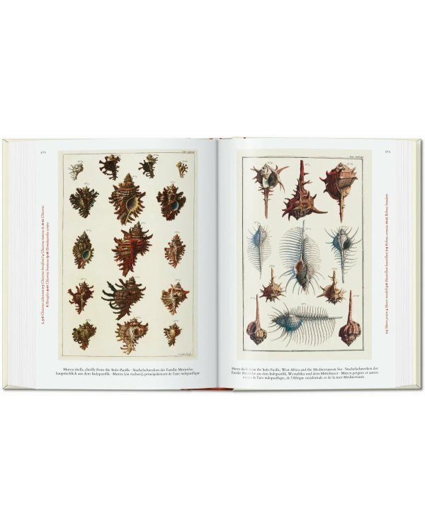 Seba. Cabinet of Natural Curiosities. 40th Ed.