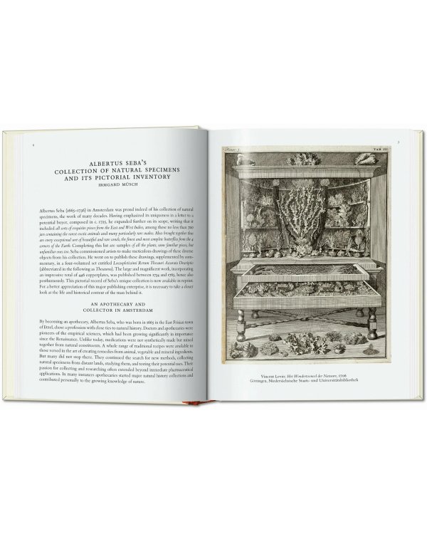 Seba. Cabinet of Natural Curiosities. 40th Ed.