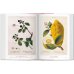A Garden Eden. Masterpieces of Botanical Illustration. 40th Ed. A Garden Eden. Masterpieces of Botanical Illustration. 40th Ed.