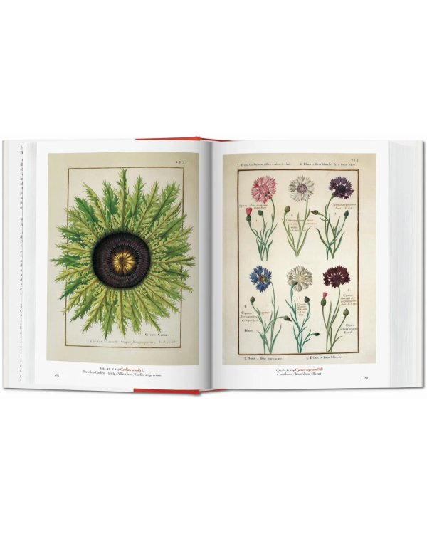 A Garden Eden. Masterpieces of Botanical Illustration. 40th Ed.