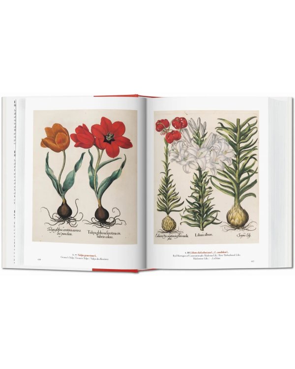 A Garden Eden. Masterpieces of Botanical Illustration. 40th Ed.
