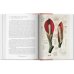 A Garden Eden. Masterpieces of Botanical Illustration. 40th Ed. A Garden Eden. Masterpieces of Botanical Illustration. 40th Ed.