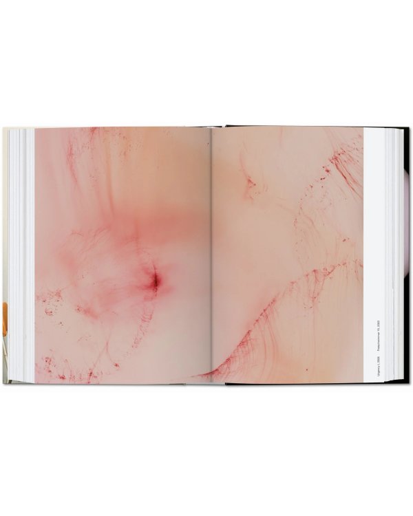 Wolfgang Tillmans. four books. 40th Ed.