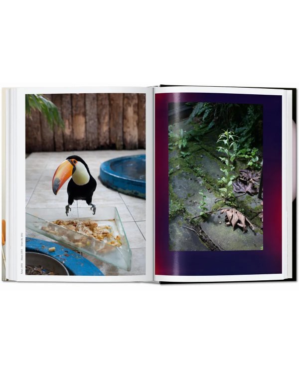 Wolfgang Tillmans. four books. 40th Ed.