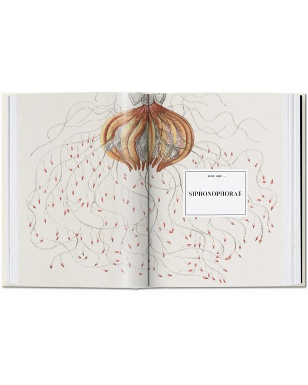 The Art and Science of Ernst Haeckel. 40th Ed.