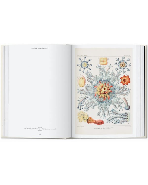 The Art and Science of Ernst Haeckel. 40th Ed.