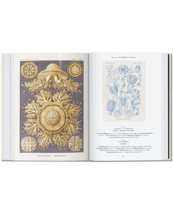 The Art and Science of Ernst Haeckel. 40th Ed.