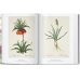 Pierre-Joseph Redouté. El libro de las flores. 40th Ed. Pierre-Joseph Redouté. El libro de las flores. 40th Ed.