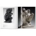 Rodin Rodin