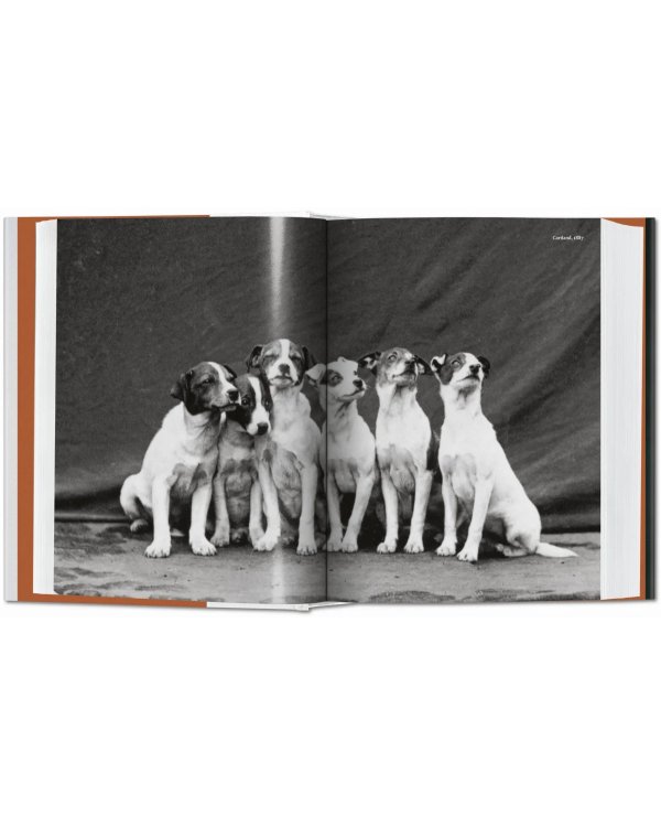 The Dog in Photography 1839–Today