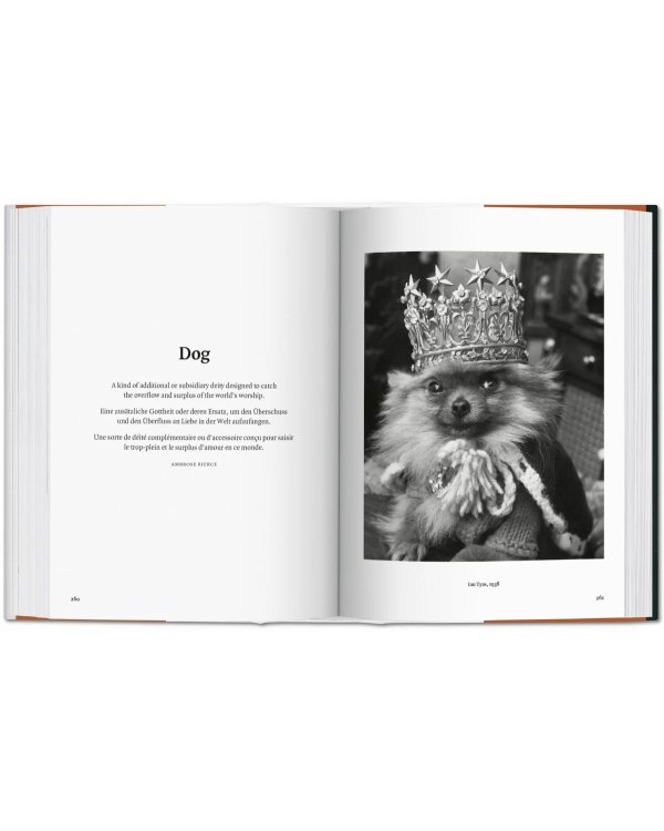 The Dog in Photography 1839–Today