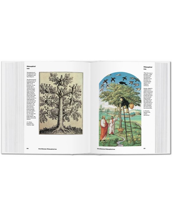 Alchemy &amp; Mysticism