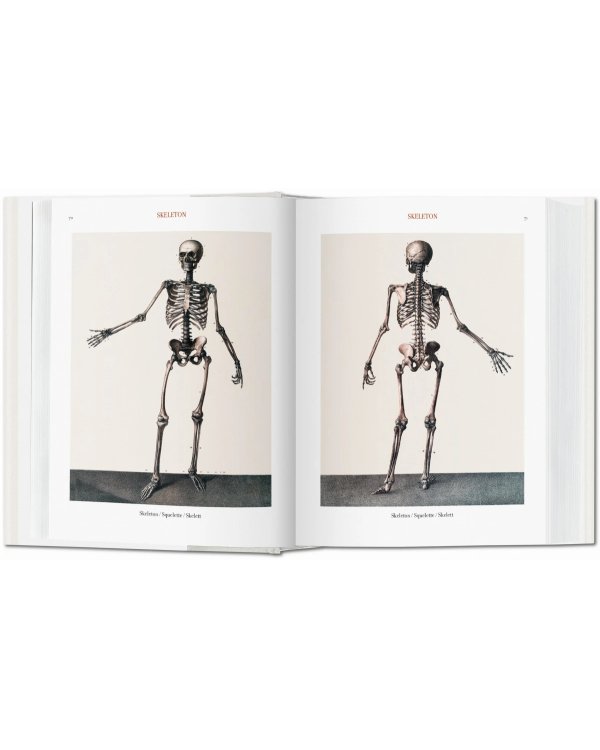 Bourgery. Atlas of Human Anatomy and Surgery