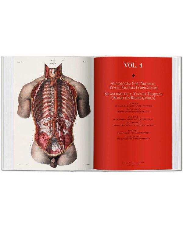 Bourgery. Atlas of Human Anatomy and Surgery