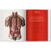 Bourgery. Atlas of Human Anatomy and Surgery Bourgery. Atlas of Human Anatomy and Surgery