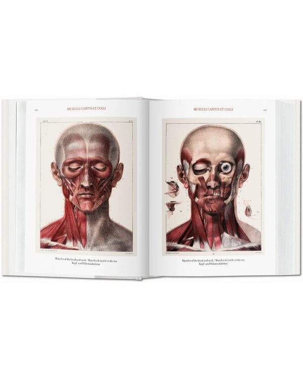 Bourgery. Atlas of Human Anatomy and Surgery