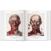 Bourgery. Atlas of Human Anatomy and Surgery Bourgery. Atlas of Human Anatomy and Surgery