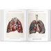 Bourgery. Atlas of Human Anatomy and Surgery Bourgery. Atlas of Human Anatomy and Surgery