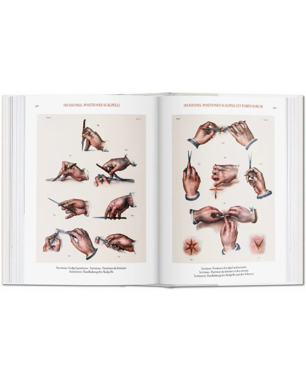 Bourgery. Atlas of Human Anatomy and Surgery