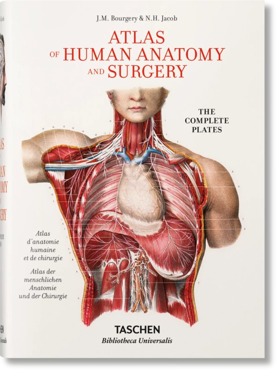 Bourgery. Atlas of Human Anatomy and Surgery Bourgery. Atlas of Human Anatomy and Surgery