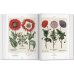 Basilius Besler's Florilegium. The Book of Plants Basilius Besler's Florilegium. The Book of Plants
