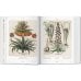 Basilius Besler's Florilegium. The Book of Plants Basilius Besler's Florilegium. The Book of Plants