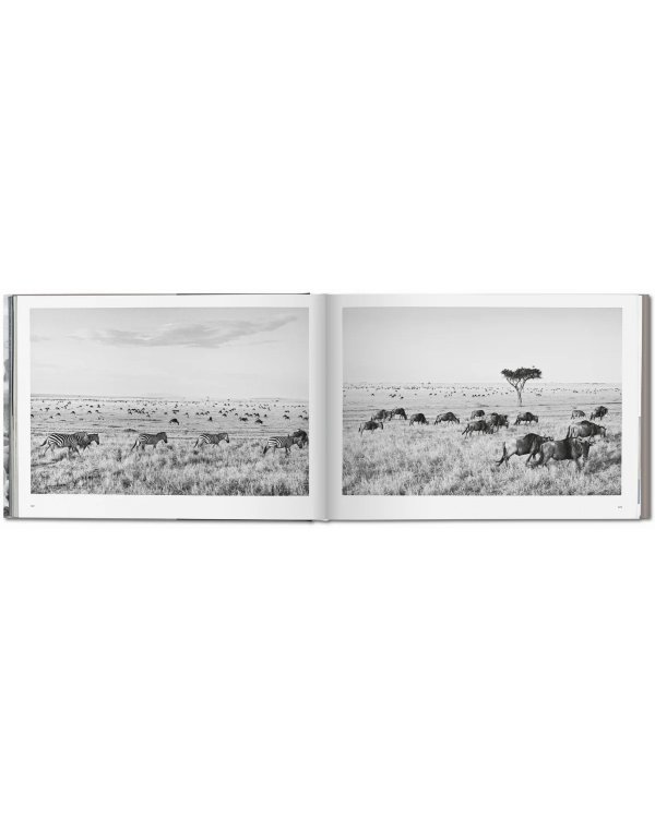 Sebastiao Salgado. Africa