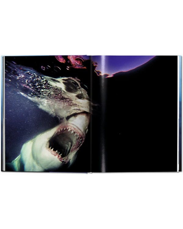 Sharks. Face-to-Face with the Ocean's Endangered Predator