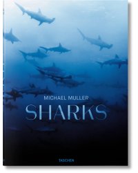 Sharks. Face-to-Face with the Ocean's Endangered Predator