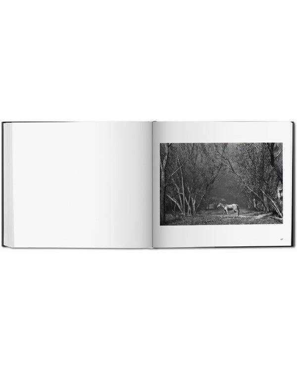 Sebastião Salgado: Kuwait