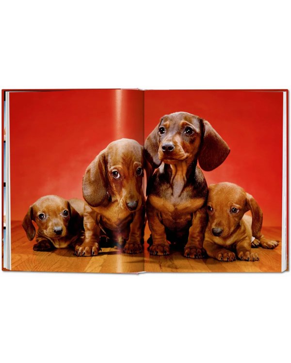 Walter Chandoha. Dogs. Photographs 1941–1991