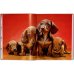 Walter Chandoha. Dogs. Photographs 1941–1991