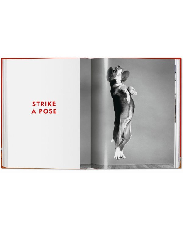 Walter Chandoha. Dogs. Photographs 1941–1991