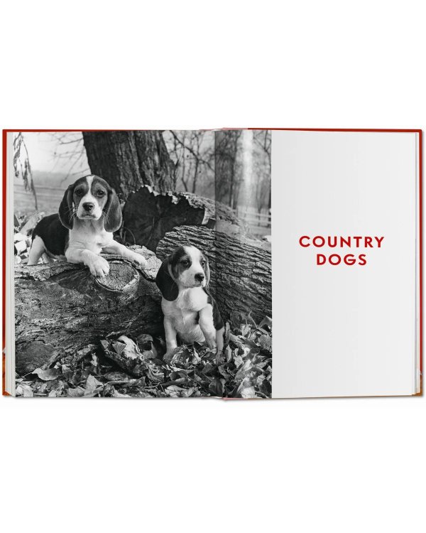 Walter Chandoha. Dogs. Photographs 1941–1991