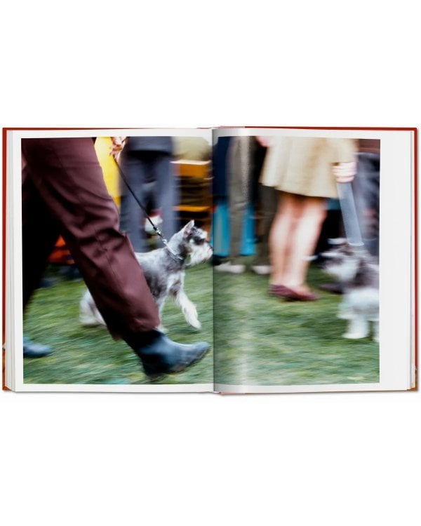 Walter Chandoha. Dogs. Photographs 1941–1991