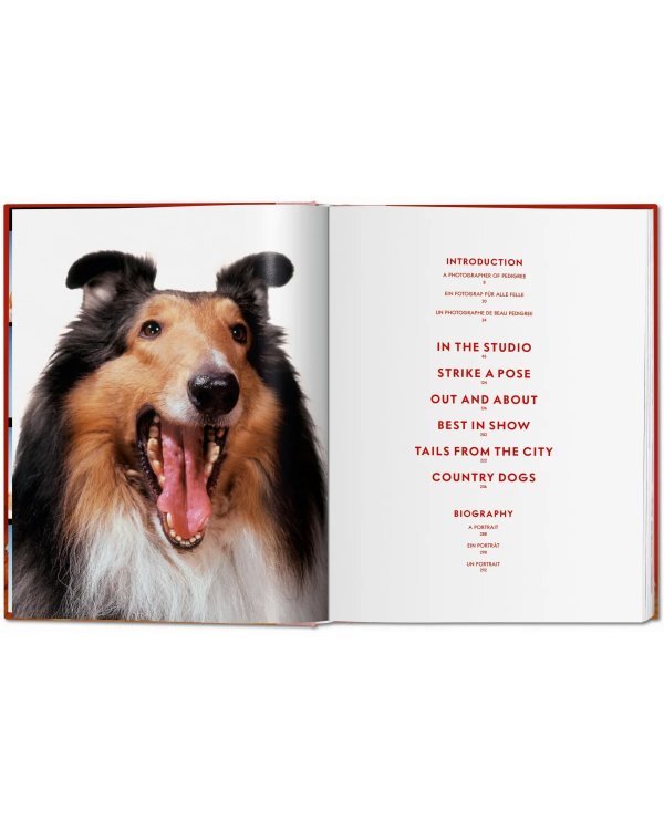 Walter Chandoha. Dogs. Photographs 1941–1991