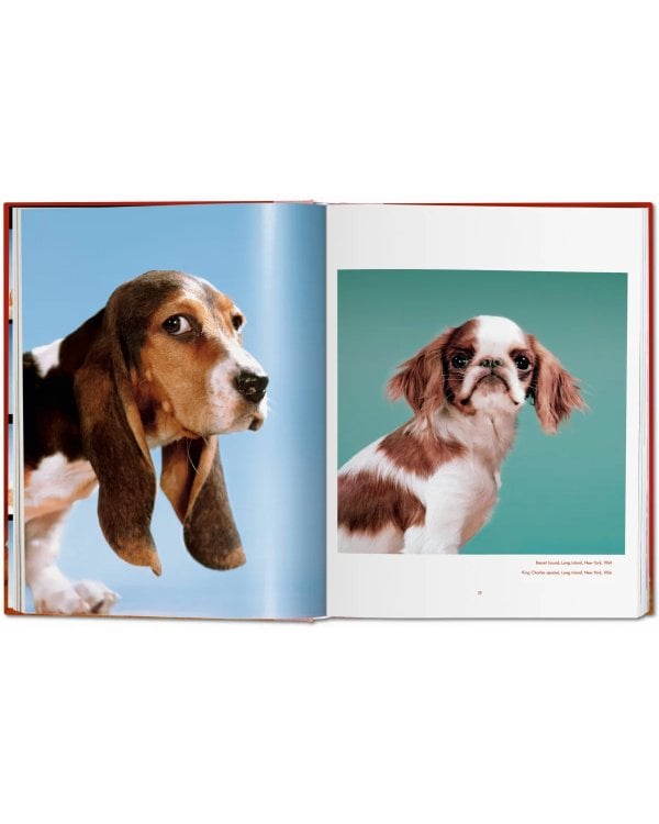 Walter Chandoha. Dogs. Photographs 1941–1991