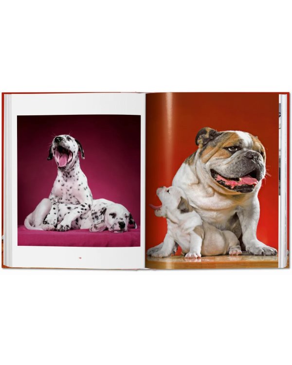 Walter Chandoha. Dogs. Photographs 1941–1991
