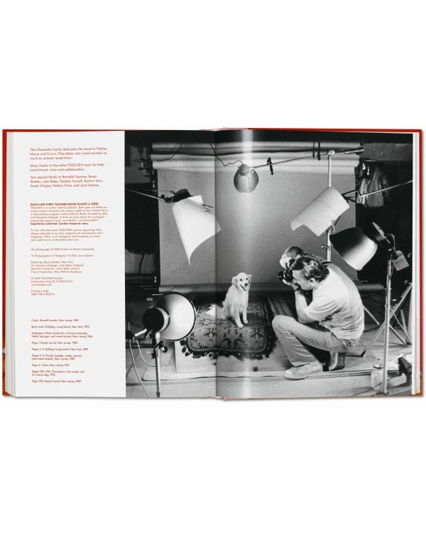 Walter Chandoha. Dogs. Photographs 1941–1991