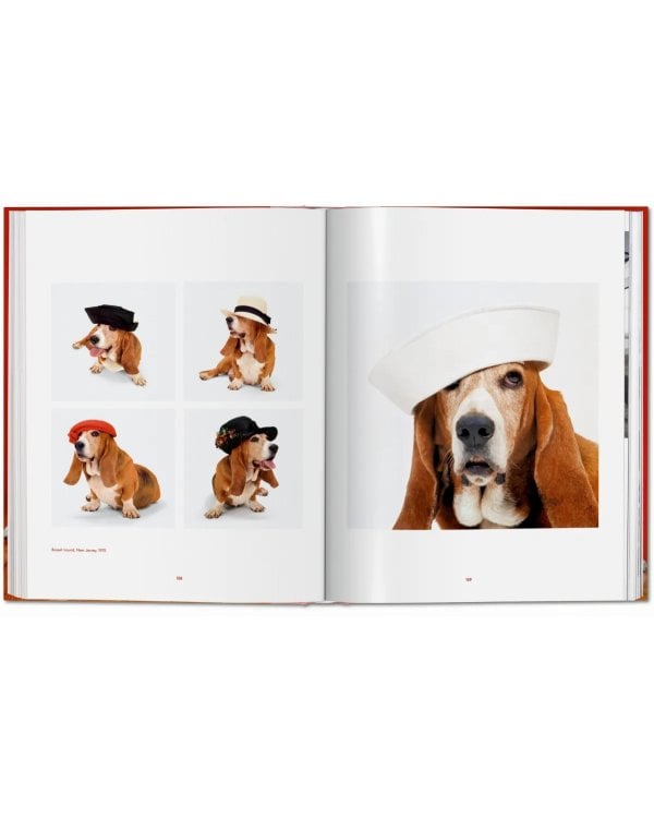 Walter Chandoha. Dogs. Photographs 1941–1991