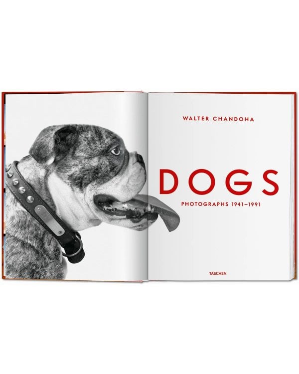 Walter Chandoha. Dogs. Photographs 1941–1991