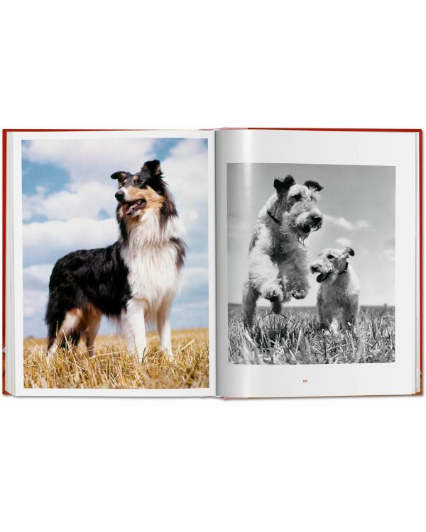 Walter Chandoha. Dogs. Photographs 1941–1991