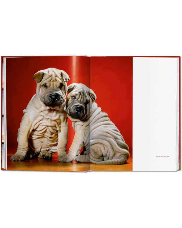 Walter Chandoha. Dogs. Photographs 1941–1991