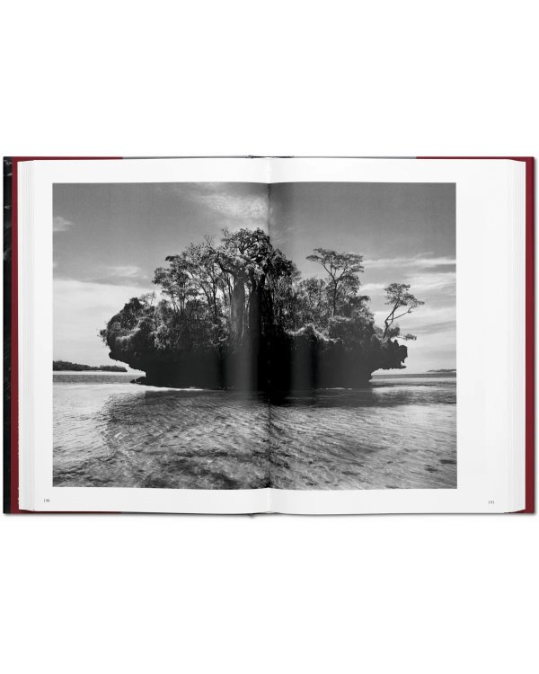 Sebastião Salgado. Genesis